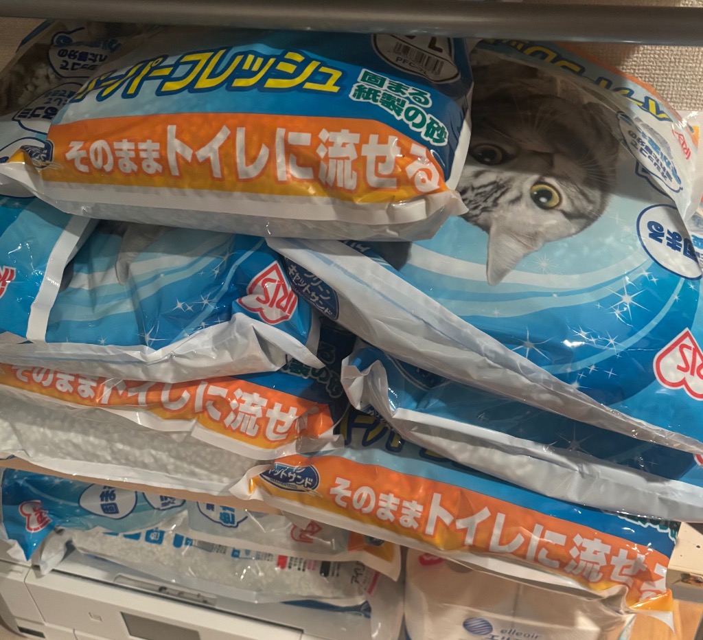 レビュー画像