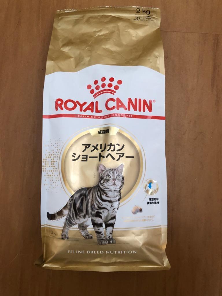 えりえり ロイヤルカナン アメリカンショートヘアー 2kg❌️3キャット Amazon | ロイヤルカナン FBN アメリカンショートヘアー 成猫用