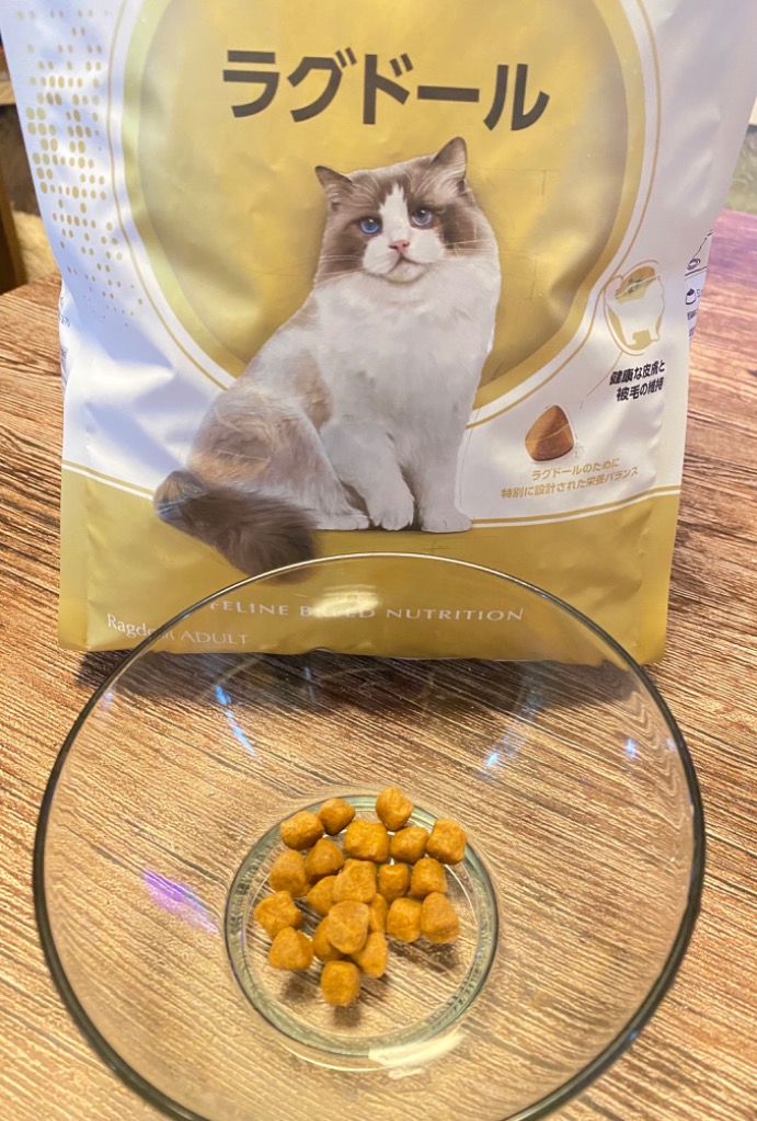 ロイヤルカナン 猫 ラグドール 成猫用 2kg 正規品 キャットフード 