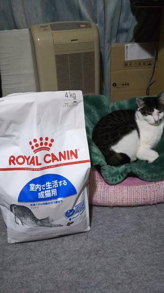 ロイヤルカナン 猫 キャットフード インドア 4kg キャット 室内猫 成猫 