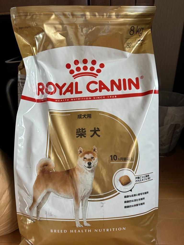 ドッグフード ロイヤルカナン 犬 成犬用 柴犬 8kg フード 犬用 犬