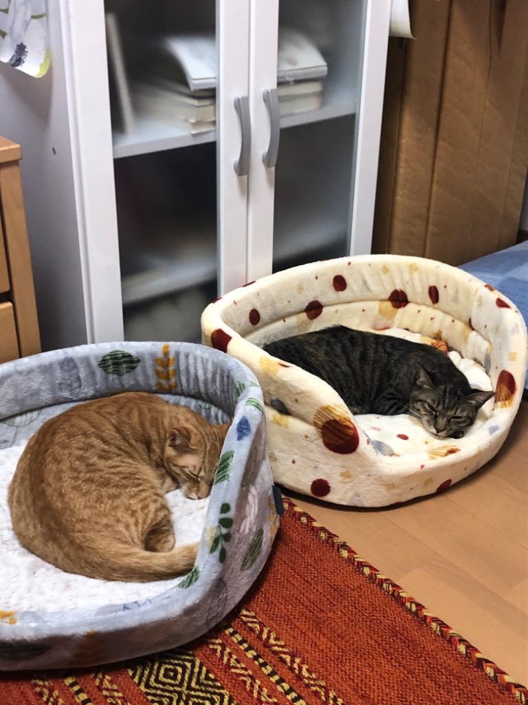 売り尽くしセール/ 犬 猫 ベッド ペット ペットベッド 冬用 小型犬 手洗い おしゃれ ラウンドベッド PRM-500 全2色 アイリスオーヤマ  :m576987:Pet館 Yahoo!店 - 通販 - Yahoo!ショッピング