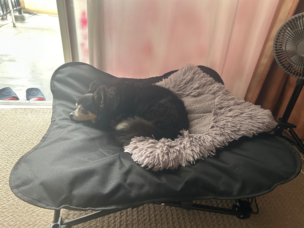 1件目のレビュー画像 | 0