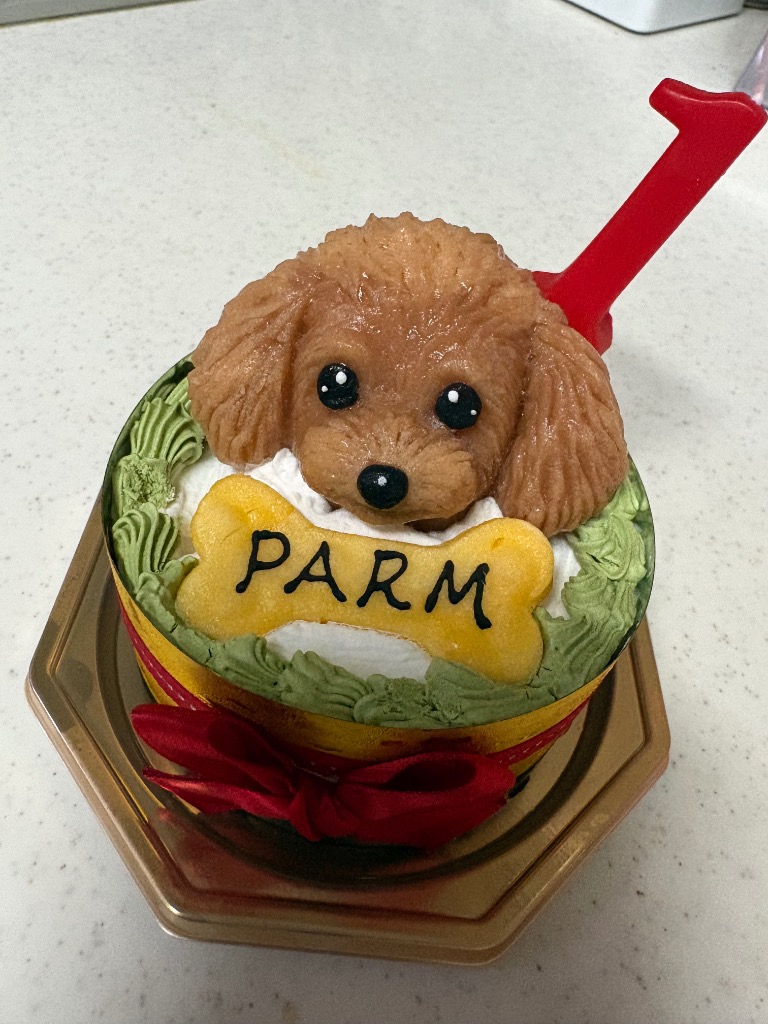 ファッション小物 オーダーページ ハンカチ2330 わんちゃんケーキ柄