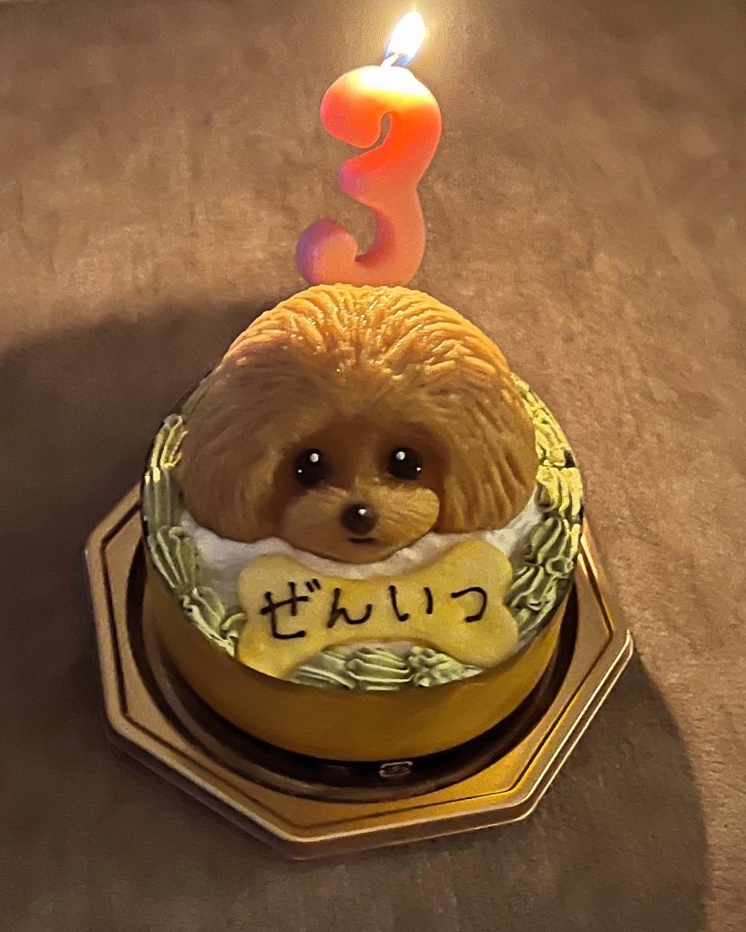 犬用ケーキ/愛犬モチーフ/バースデー/1名様/3号〜5号 : 01 : わんわん