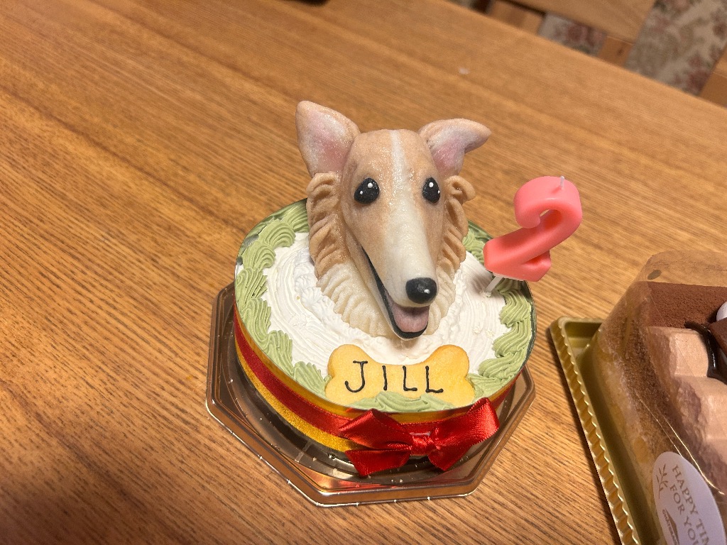 犬用ケーキ 誕生日 無添加 似顔絵 立体 オーダー 3号 4号 5号 9cm 12cm