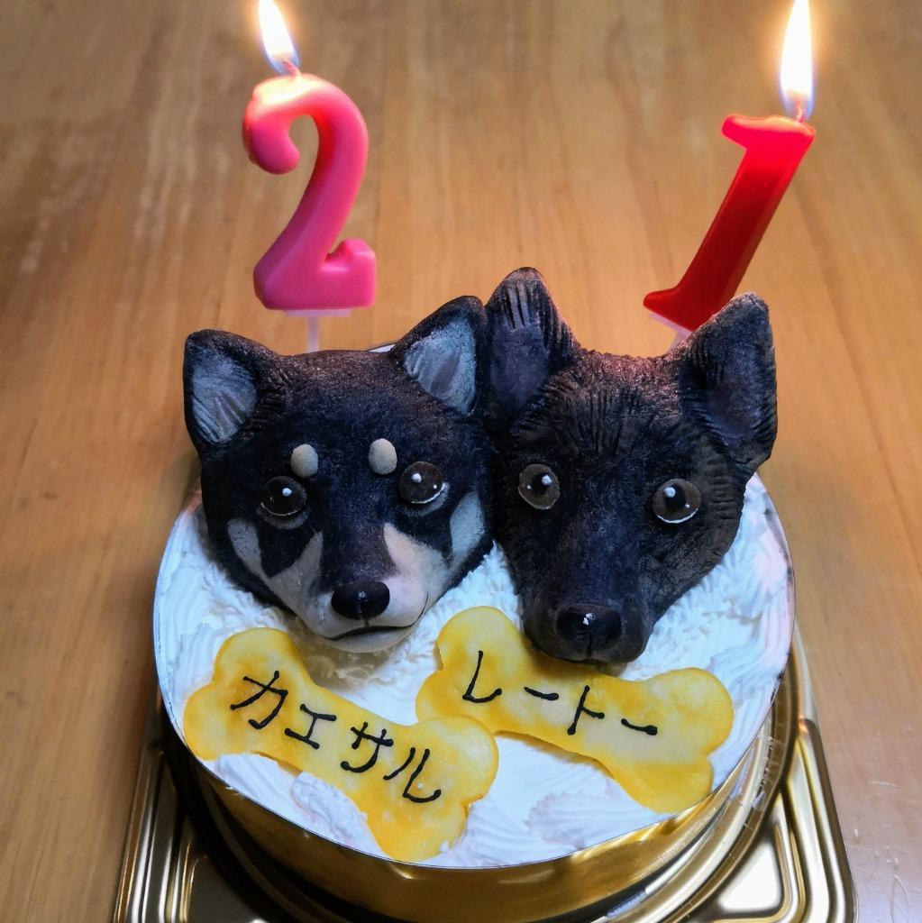 犬用ケーキ/愛犬モチーフ/バースデー/2名様/4号〜６号 : 05 : わんわん