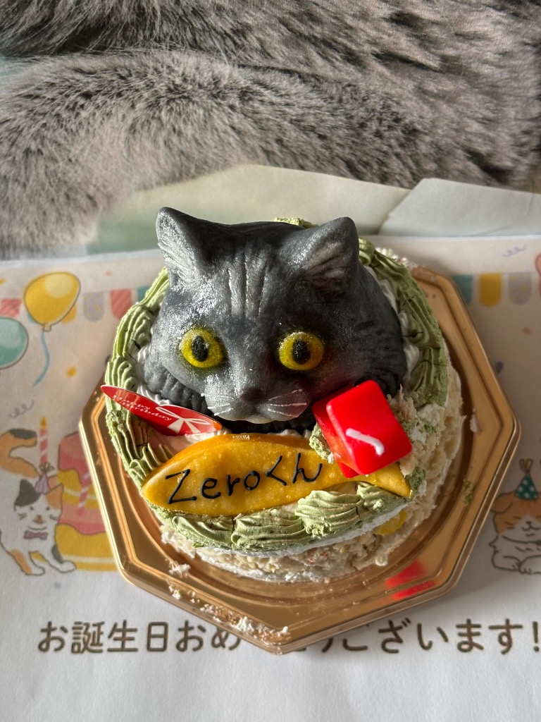 3件目のレビュー画像 | 2