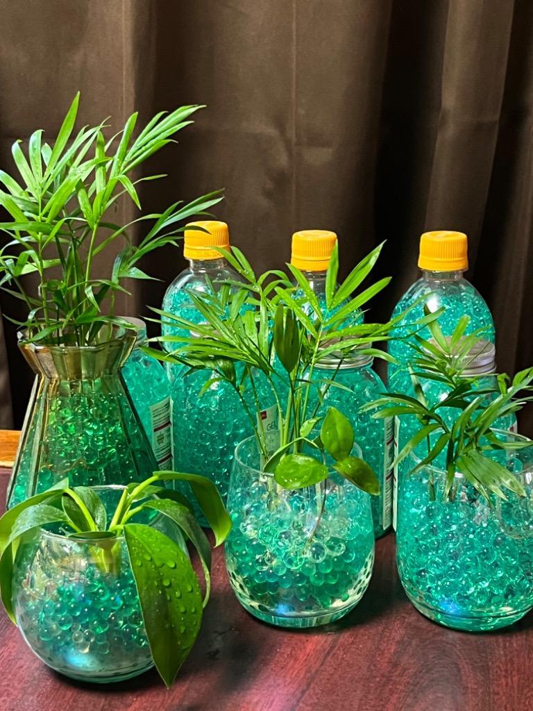 観葉植物 水耕栽培 水だけで膨れる 天使のビーズ 30ｇ 選べる５色 ハイドロカルチャー ゼリーボール ジェリーボール バブルジェリー 園芸用資材 :  2022051301 : グレードワンオンライン - 通販 - Yahoo!ショッピング