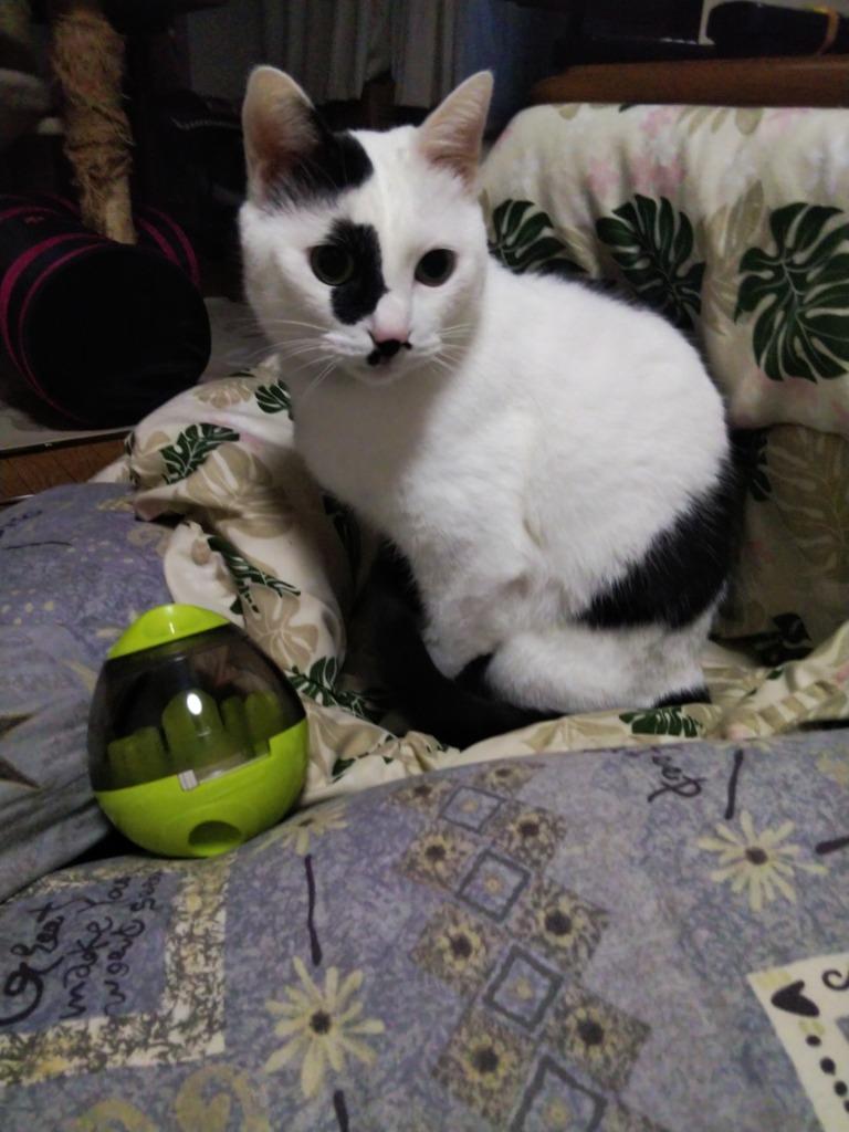 1件目のレビュー画像 | 0