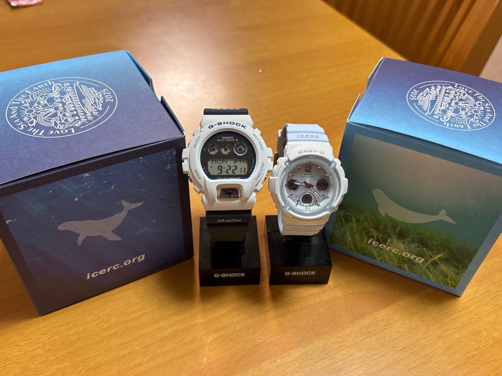 G-SHOCK イルカ・クジラキャラバン2008/腕時計/デジタル G-SHOCK_ICERCJapan-600.jpg