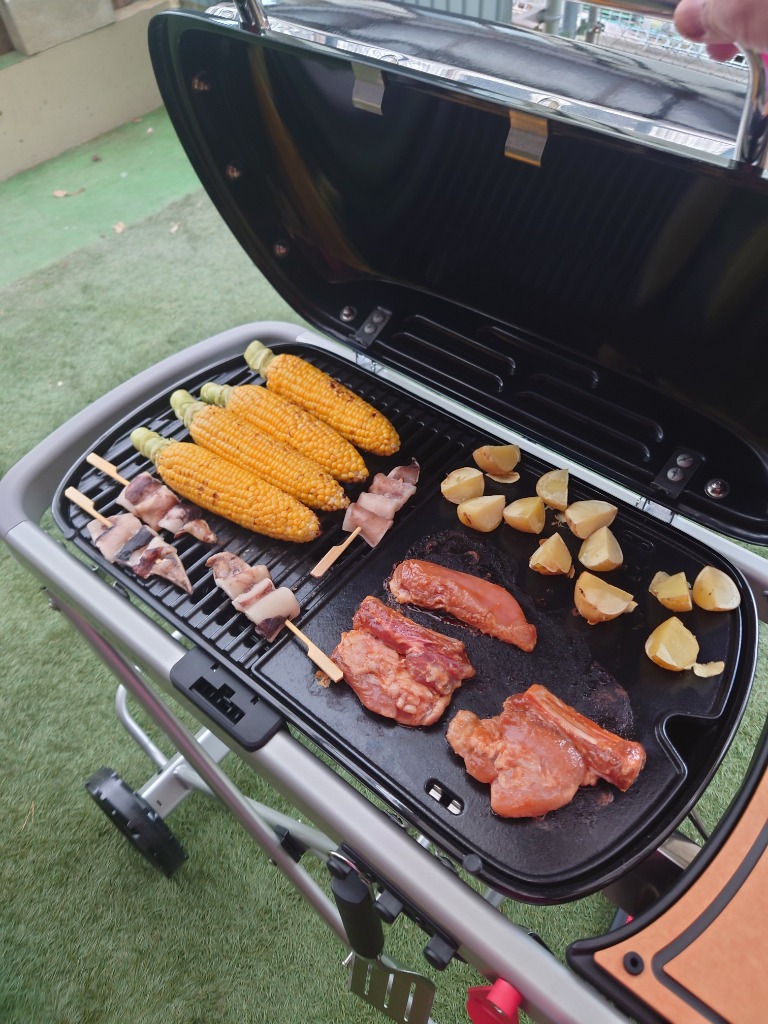 WEBER 【Weber公式】 ウェーバー バーベキュー Traveler