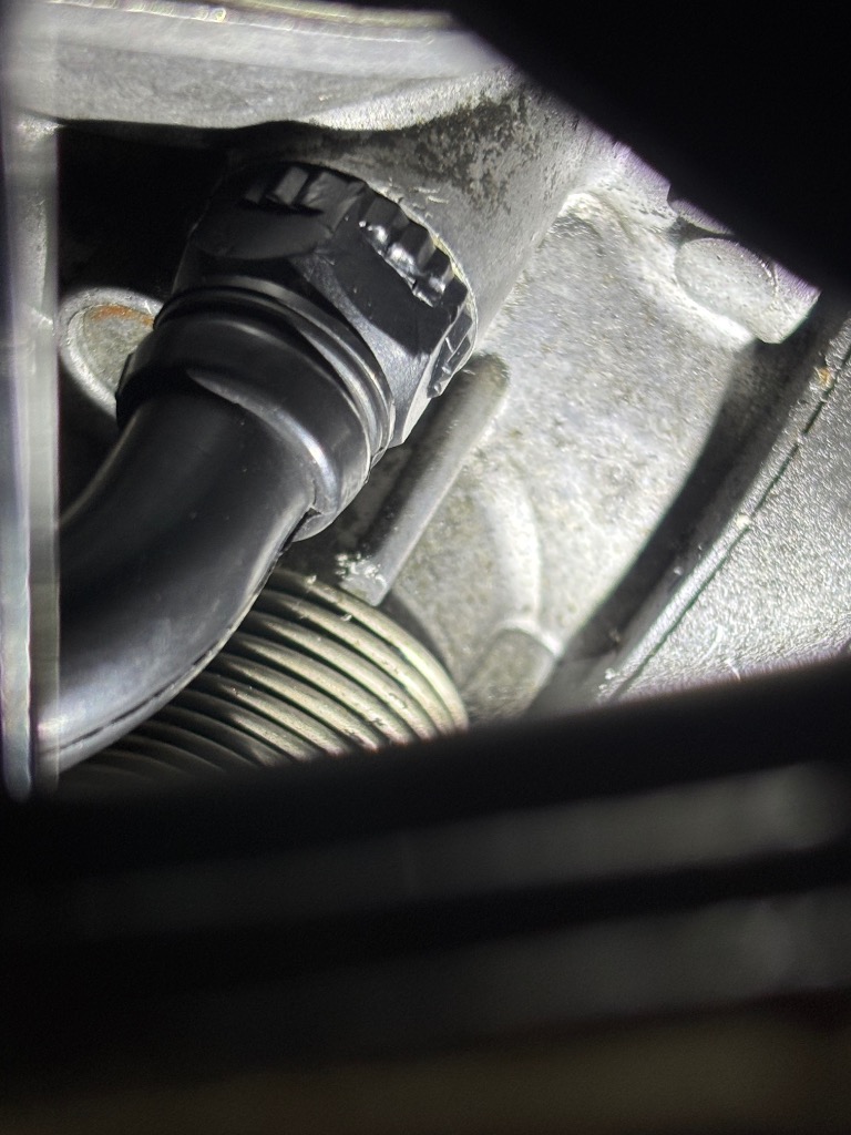 1件目のレビュー画像 | 1