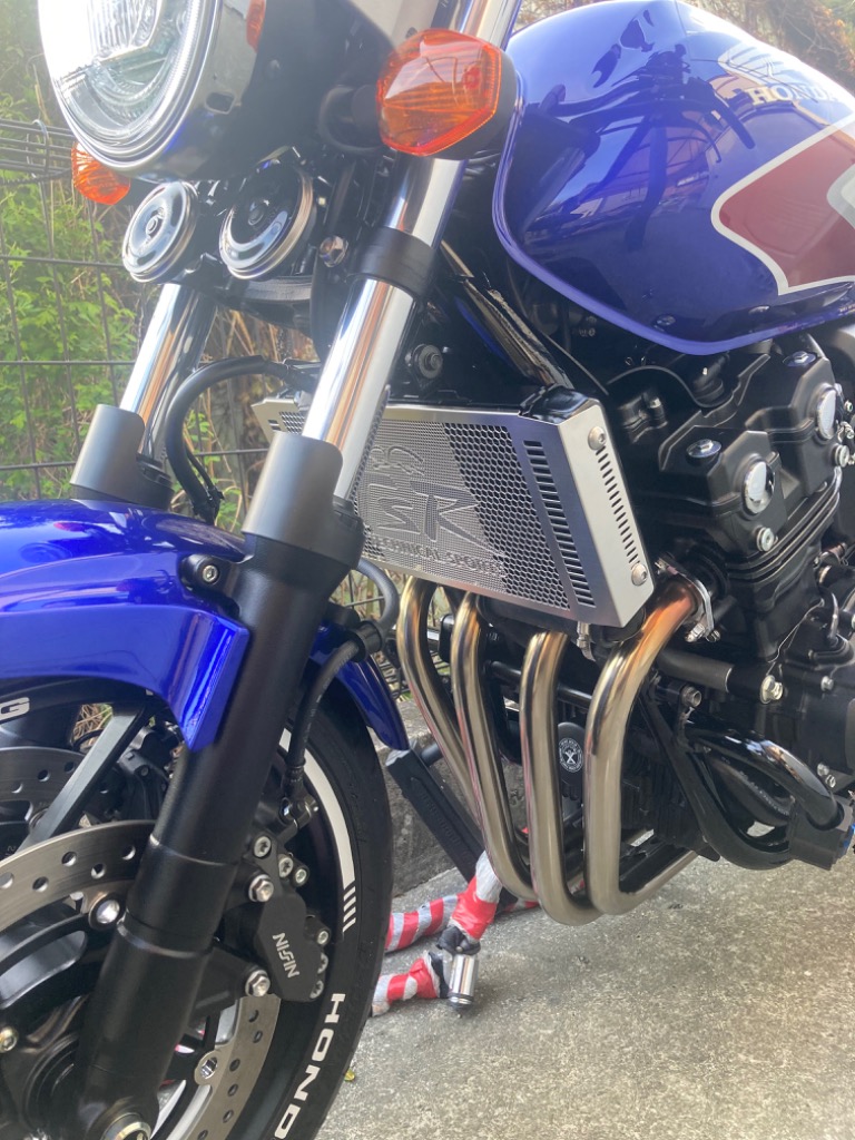 TSR テクニカルスポーツレーシング ラジエーターコアガード カラー