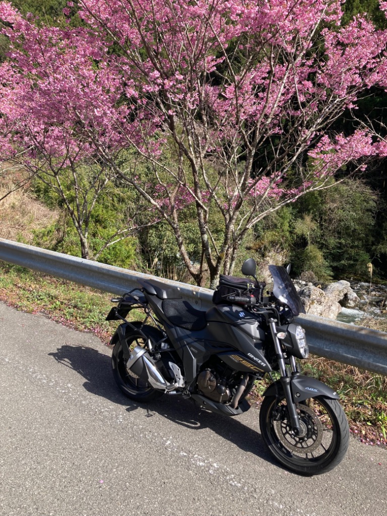 MOTOCO モトコ オリジナル GIVI E22 専用ホルダー ジグサー250 SUZUKI
