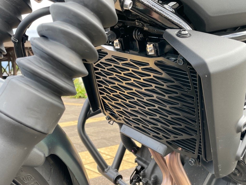 カワサキ（Kawasaki） ラジエタースクリーン ELIMINATOR PLAZA Edition