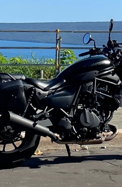 TRICK STAR（トリックスター） 政府認証スリップオンマフラー