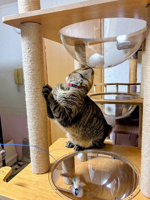 1件目のレビュー画像 | 2