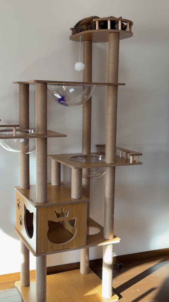 5件目のレビュー画像 | 2