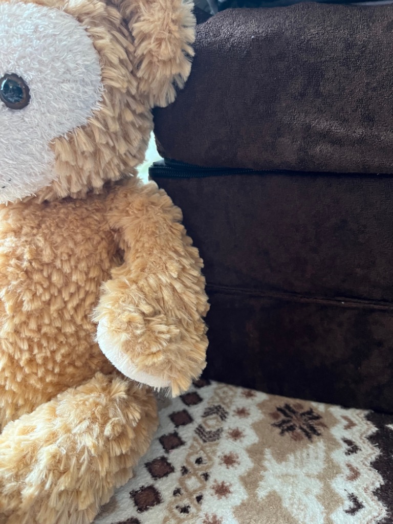 全体のレビュー画像 | 6-0