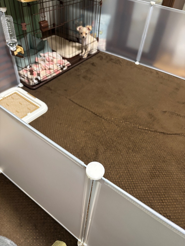 全体のレビュー画像 | 1-1