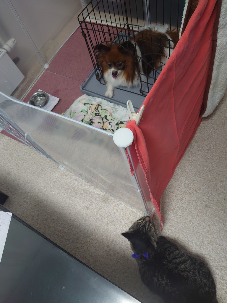 全体のレビュー画像 | 0-0