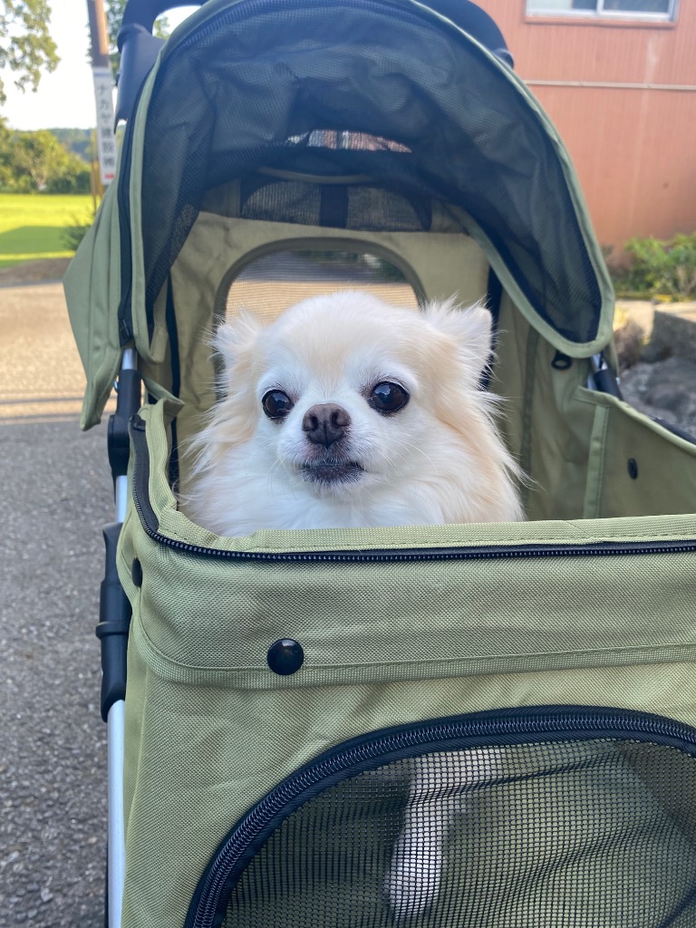 全体のレビュー画像 | 2-0