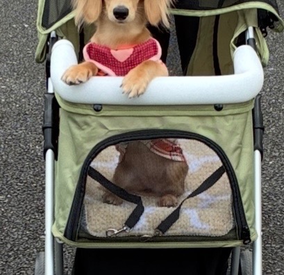 全体のレビュー画像 | 1-3