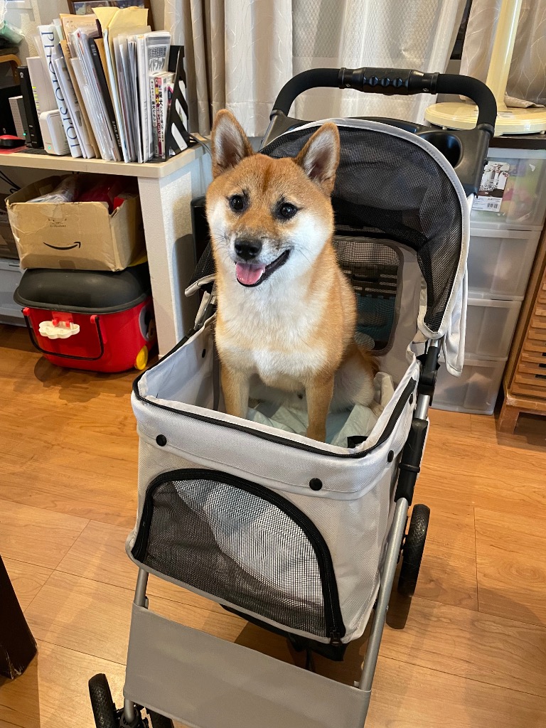 全体のレビュー画像 | 4-0