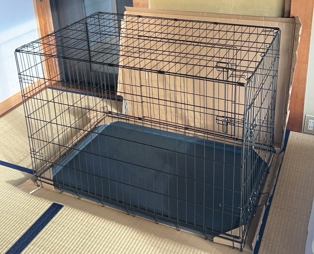 全体のレビュー画像 | 0-0