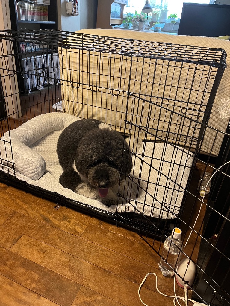 全体のレビュー画像 | 1-0