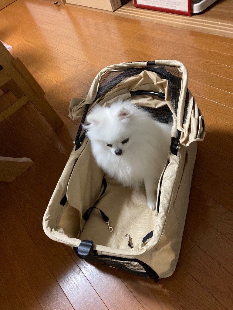 レビュー画像