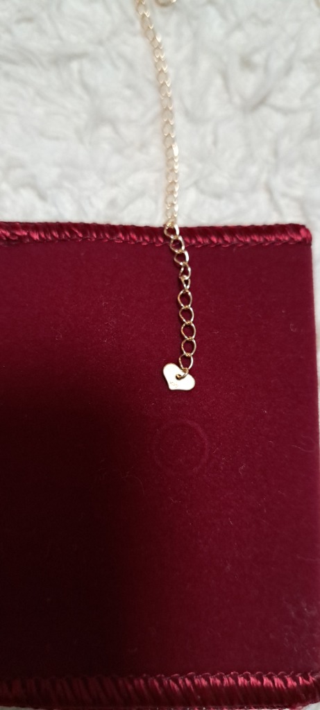 全体のレビュー画像 | 1-1