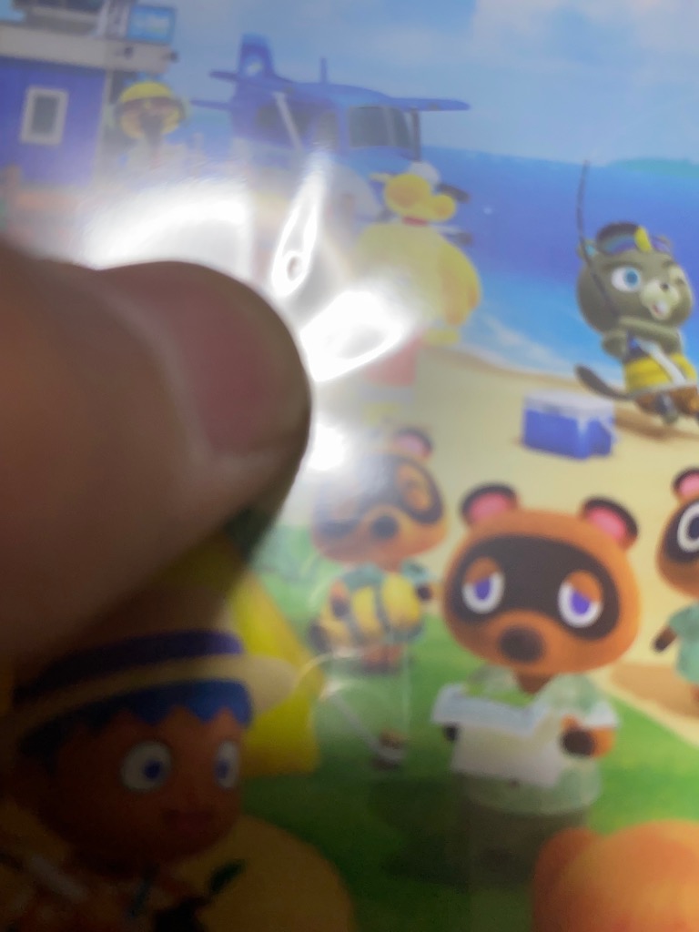 Nintendo Switch あつまれどうぶつの森 ニンテンドー スイッチ