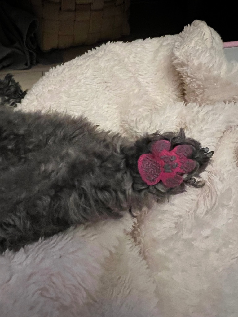 全体のレビュー画像 | 1-0