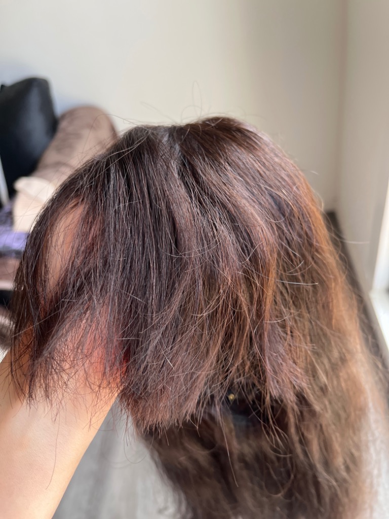 ウィッグ ロング 人毛100% 女性 医療用 自然 レディース 全3色 2 ウィッグ ロング 人毛100% 女性 医療用 自然 レディース 全3色 2