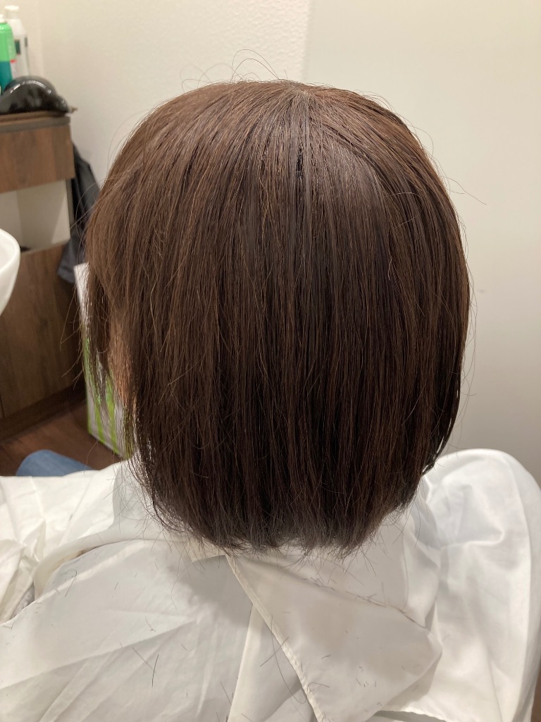 ウィッグ ショート 人毛100% 女性 医療用 自然 レディース 全3色