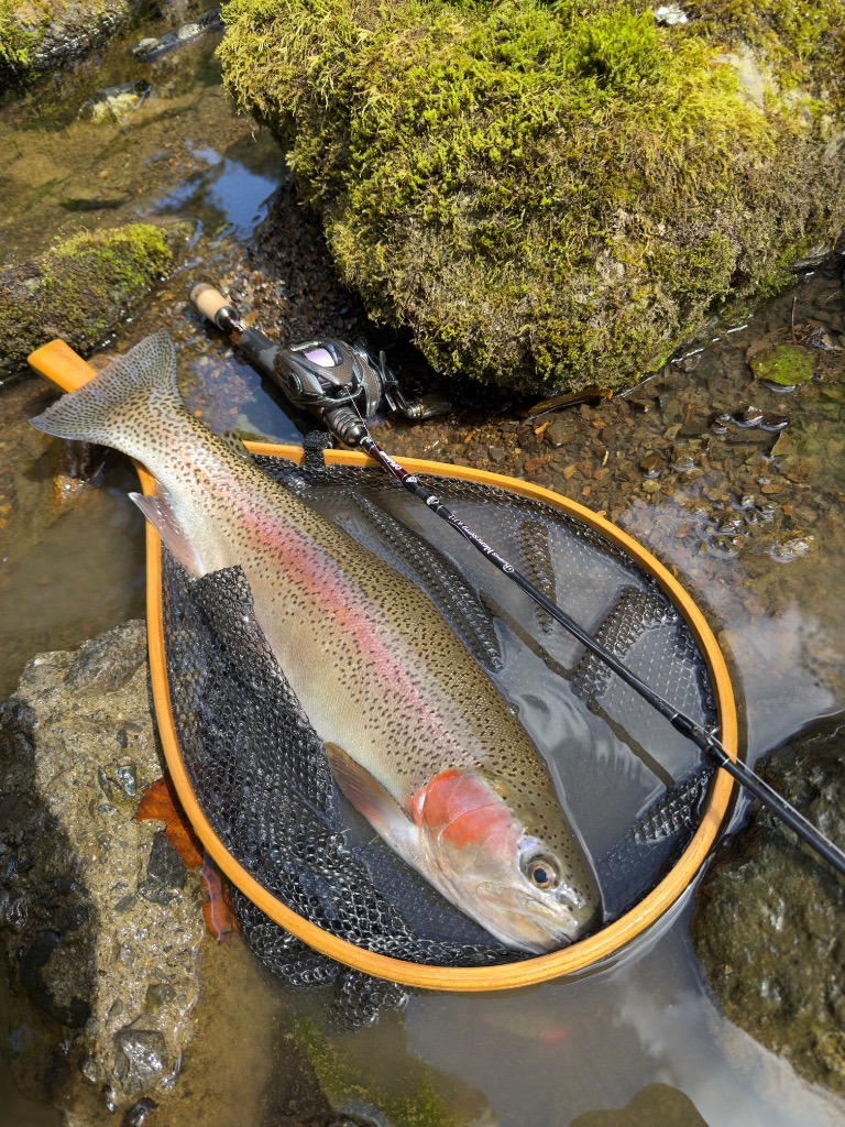 Fishman フィッシュマン Beams blancsierra4.11L ビームス ブラン