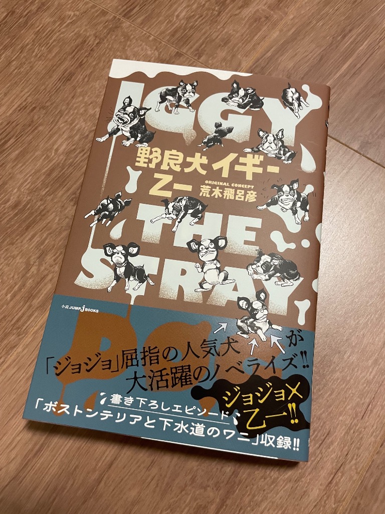 【裁断済】イギー 野良犬イギー （JUMP j BOOKS） 乙一／著 荒木飛呂彦