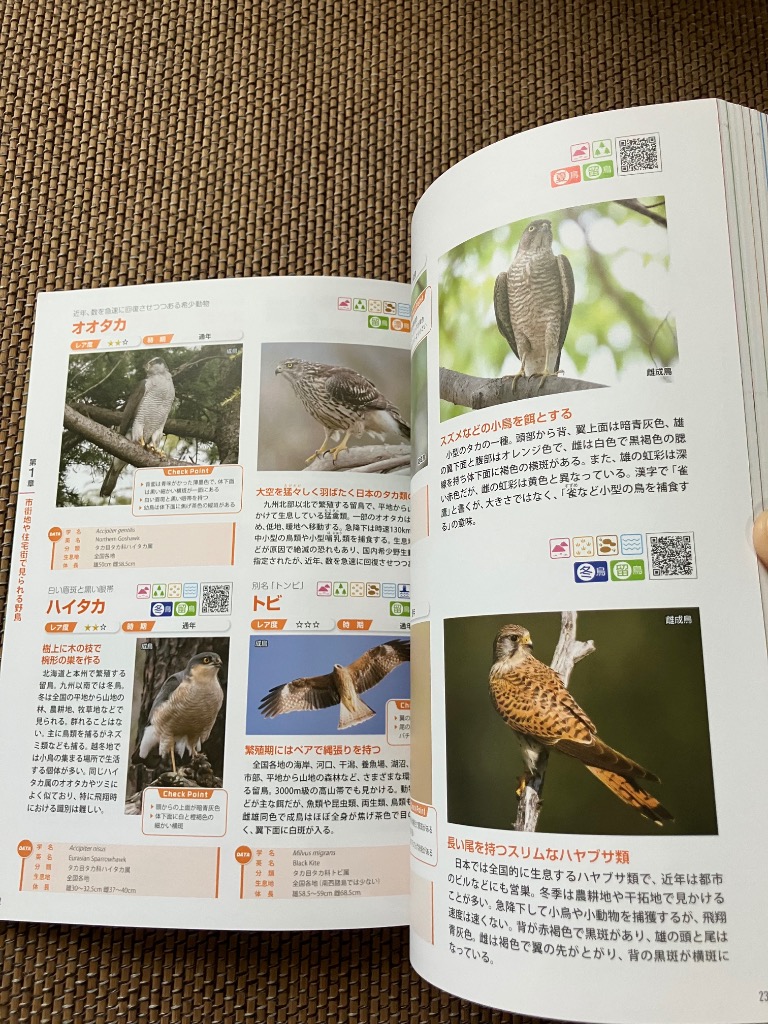 2件目のレビュー画像 | 0