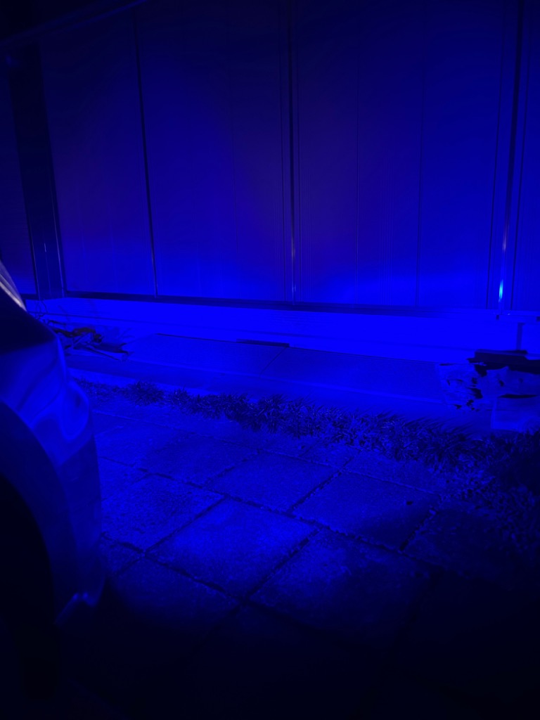 全体のレビュー画像 | 6-1