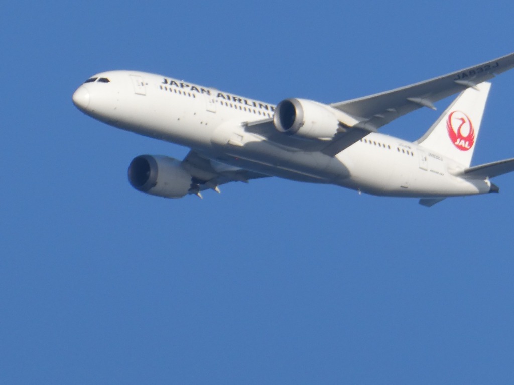 ANA JAL 本革 垂直尾翼 キーホルダー 両面彫刻 全日空 日本航空 牛本革