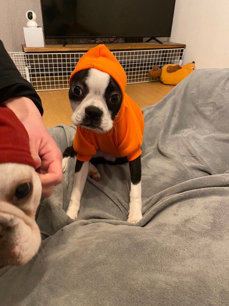 全体のレビュー画像 | 7-3