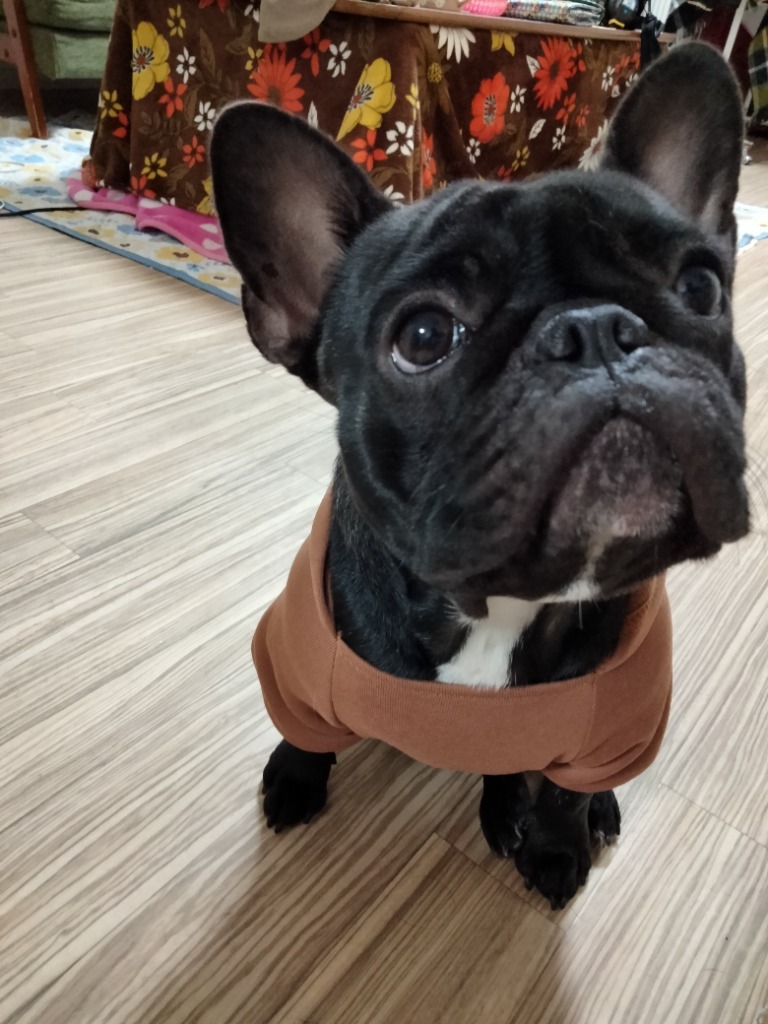 全体のレビュー画像 | 6-0