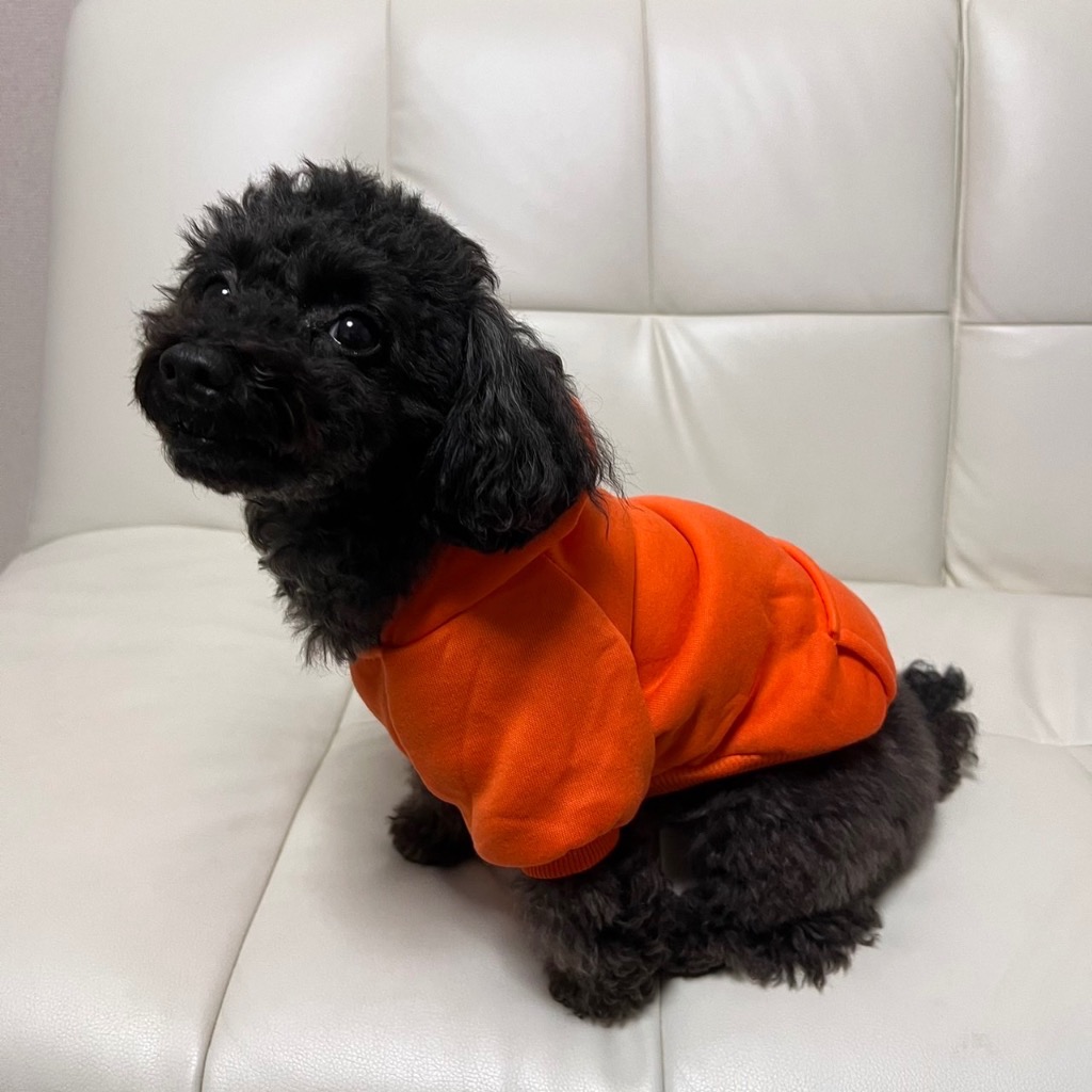 全体のレビュー画像 | 4-2