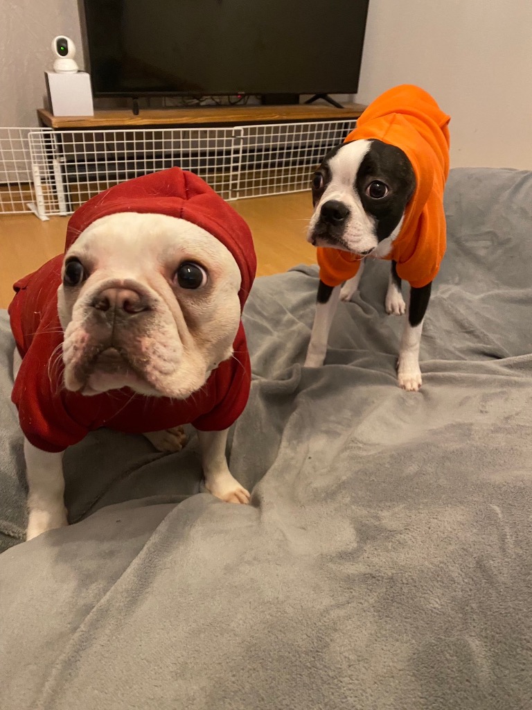 全体のレビュー画像 | 7-1