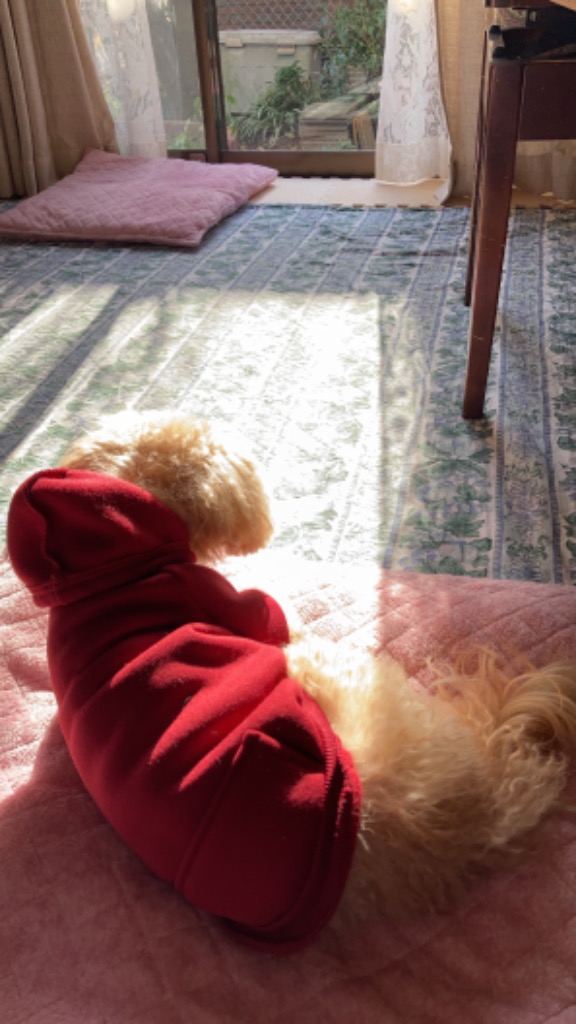 全体のレビュー画像 | 5-0