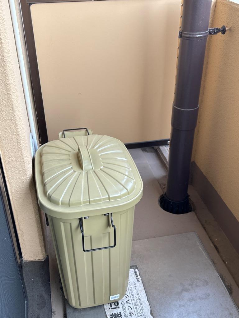 2件目のレビュー画像 | 0