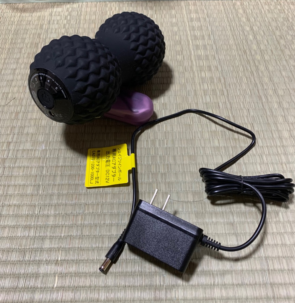 東急スポーツオアシス シェイプツインボール ルネサンス レッド