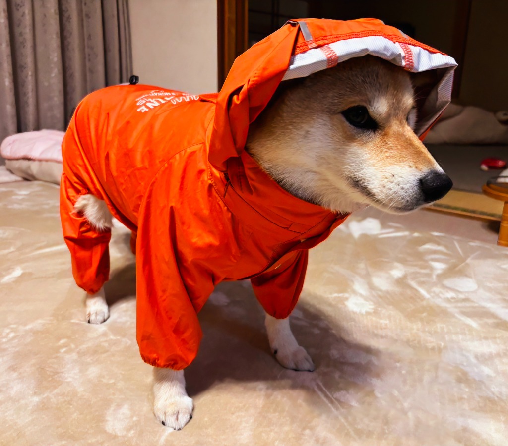 レビュー画像